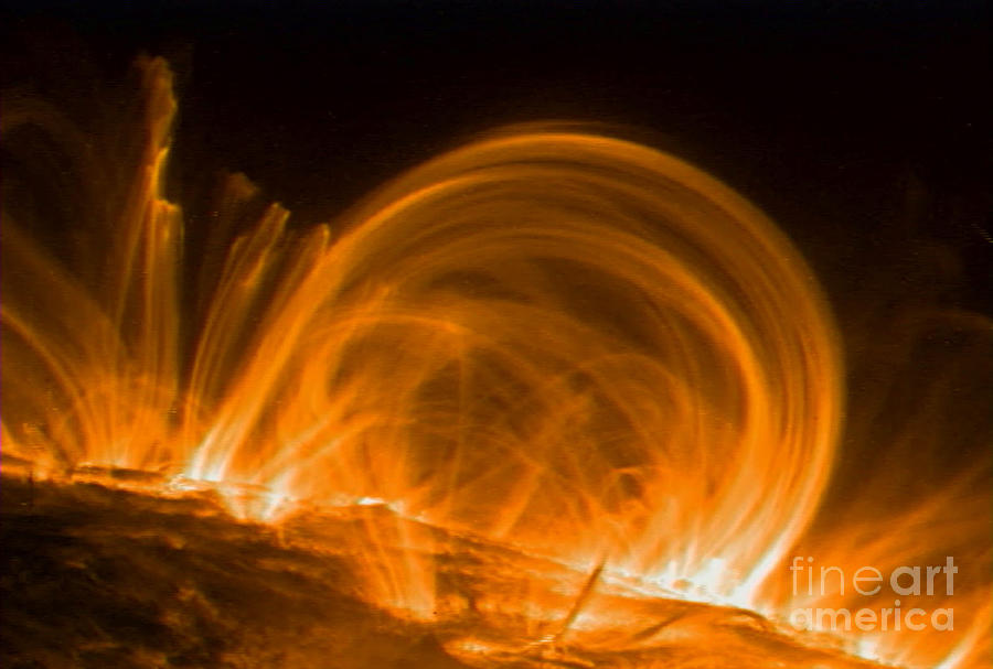 Coronal Loops, Trace Photograph by Science Source