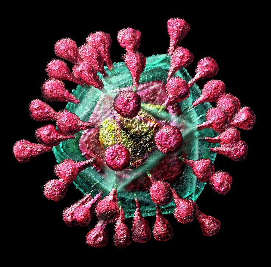 Coronavirus Photograph - Coronavirus by Russell Kightley/science Photo Library