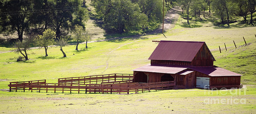 Corral And Barn Photograph by Richard J Thompson 