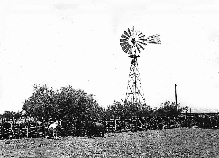 Corral Horses And Windmill Tohono Oodham Indian Reservation Near Sells Arizona 1969 Photograph