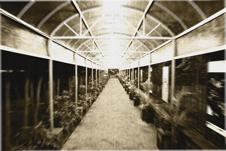 Corridor Photograph