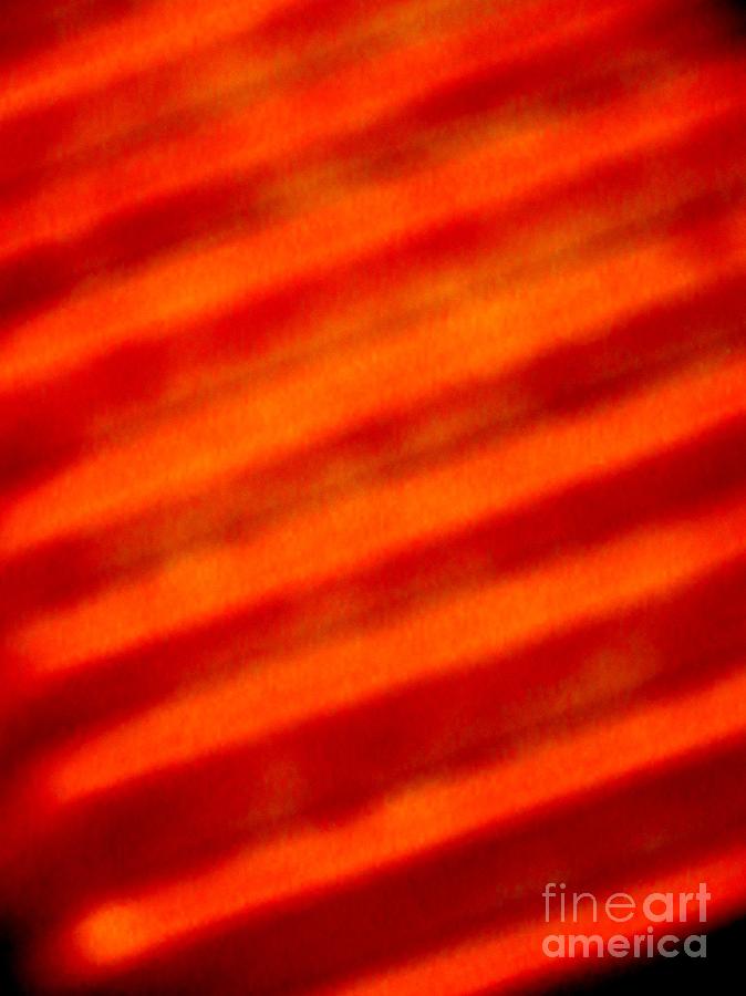Corrugated Orange Photograph by Tim Townsend
