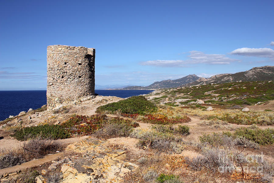 Genoese Tower Corsica Photograph by Julia Gavin