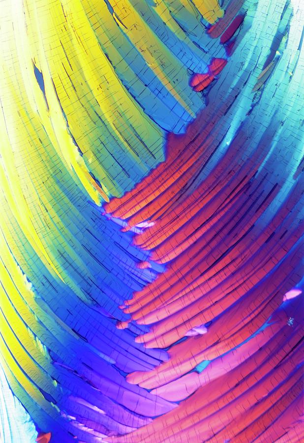 Cortisol Crystals Photograph by David Parker