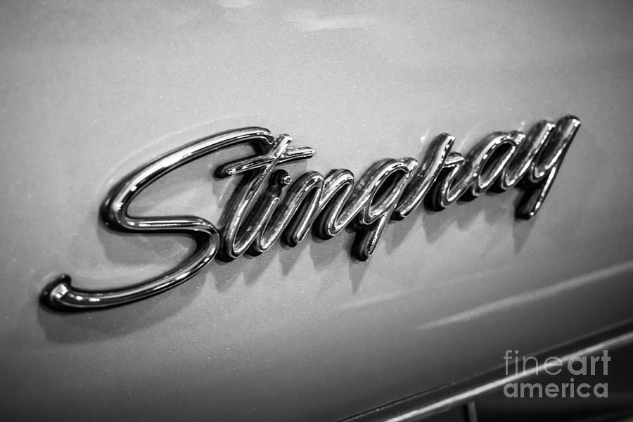 Corvette Stingray Emblem Black and White Picture Photograph by Paul Velgos