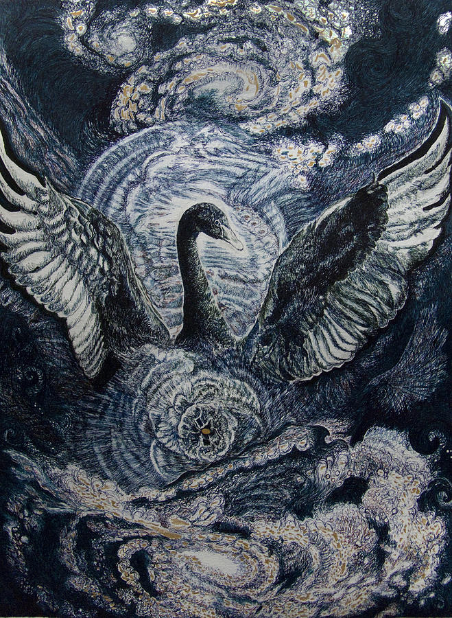 Observere dygtige Gymnast Cosmic Black Swan Drawing by Helen Duley