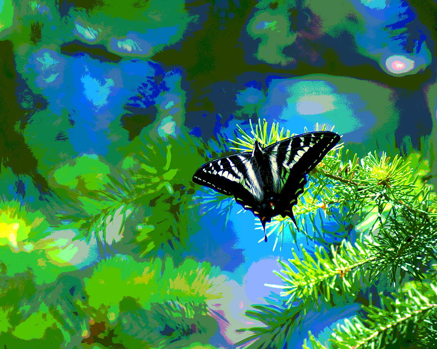 Cosmic Butterfly in the Pines Photograph by Ben Upham III