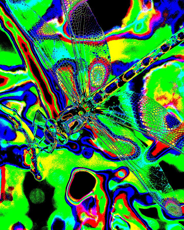Cosmic Dragonfly Art 2 Photograph by Ben Upham III