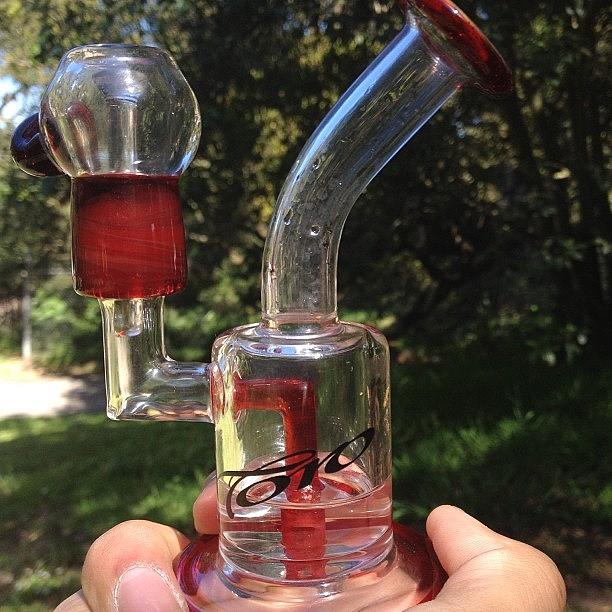 @cosmic_seed Love Your Toro 👌👌 So Photograph by Docdab Dabberson
