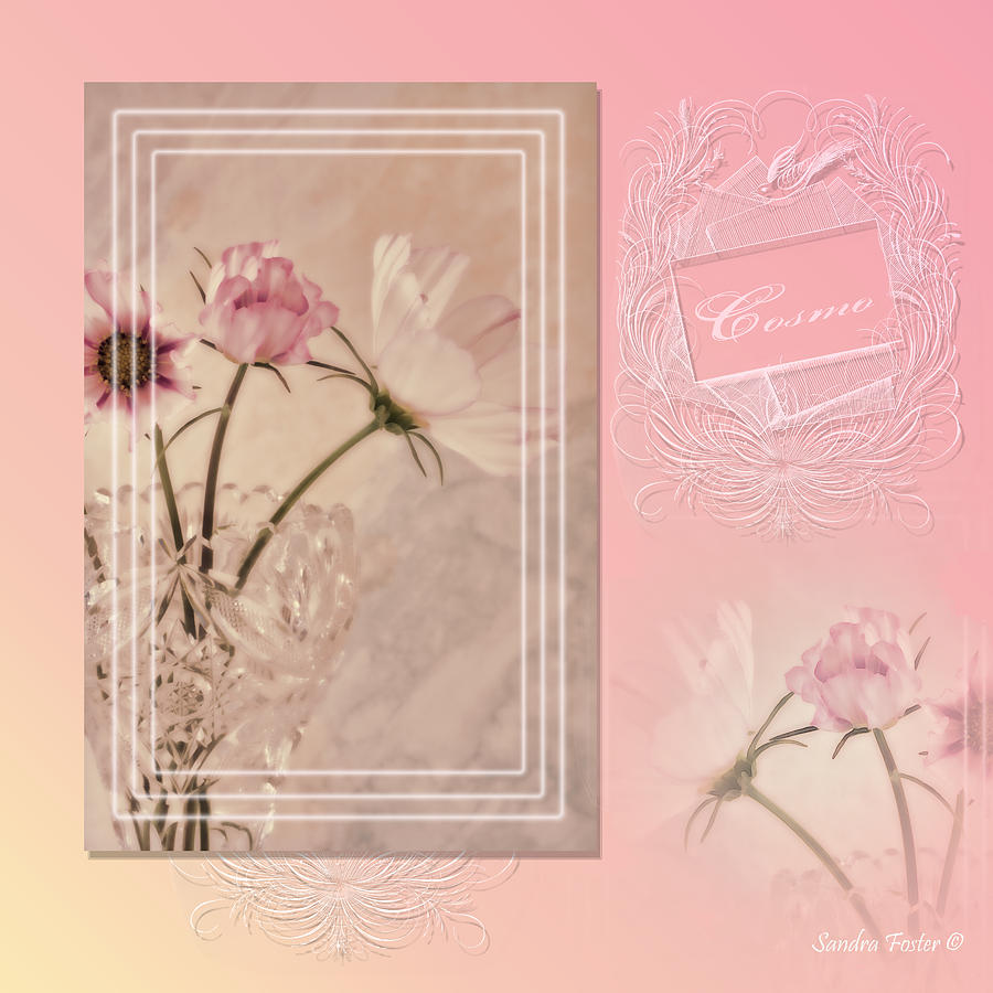 Cosmos Digital Scrapbook Page Photograph by Sandra Foster