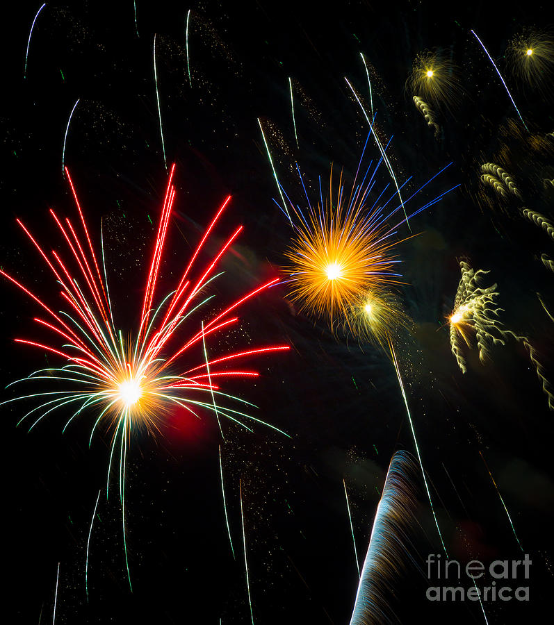Independence Day Photograph - Cosmos Fireworks by Inge Johnsson