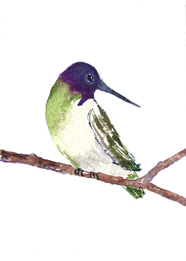 Hummingbird Painting - Costa Hummer by Renee Chastant Hummingbird Painting - Costa Hummer by Renee Chastant