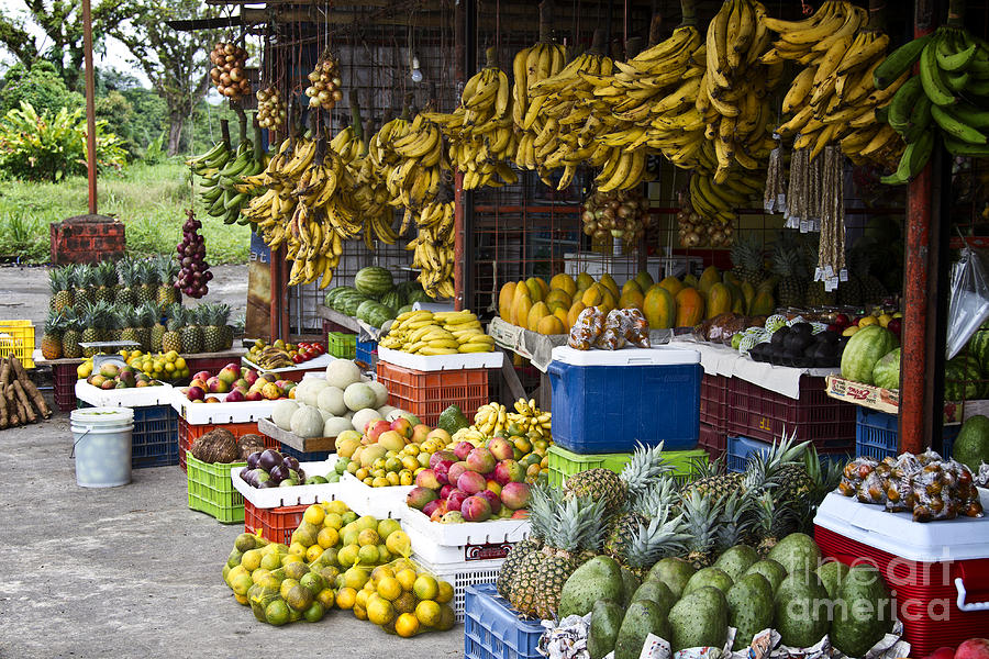 Vegetable Photograph - Costa Rica Farm Stand by Carrie Cranwill