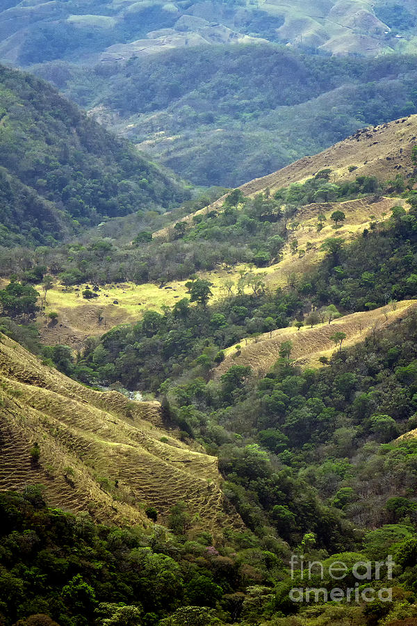 Costa Rica Landscape Photograph by Carrie Cranwill