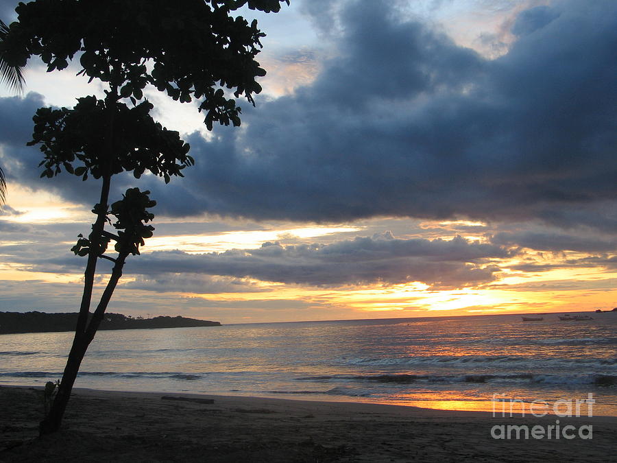 Costa Rica Palm Sunset - Seascape Photograph by Shelia Kempf