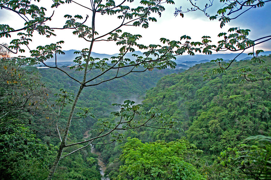Costa Rica River and Jungle Photograph by Peggy Collins