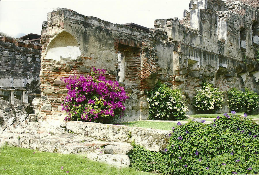 Costa Rica Ruins Photograph by Dody Rogers