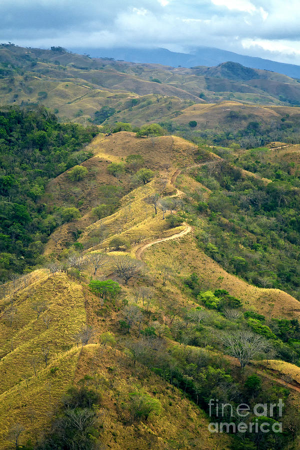 Costa Rica Scenic Landscape Photograph by Carrie Cranwill