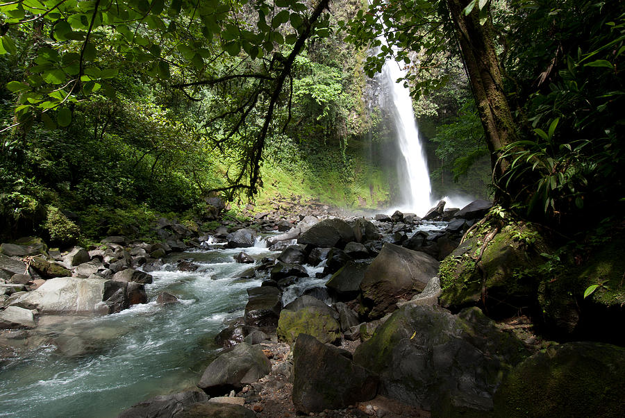 Costa Rica Waterfall and Forest Photograph by Cascade Colors