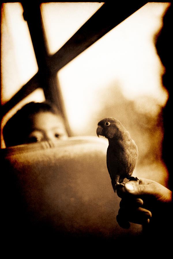 Costa Rican Bird Boy Photograph by Jennifer Wright