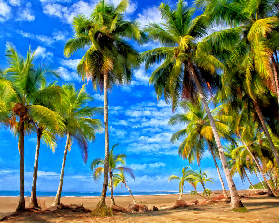 Costa Rican Paradise Painting by Michael Pickett