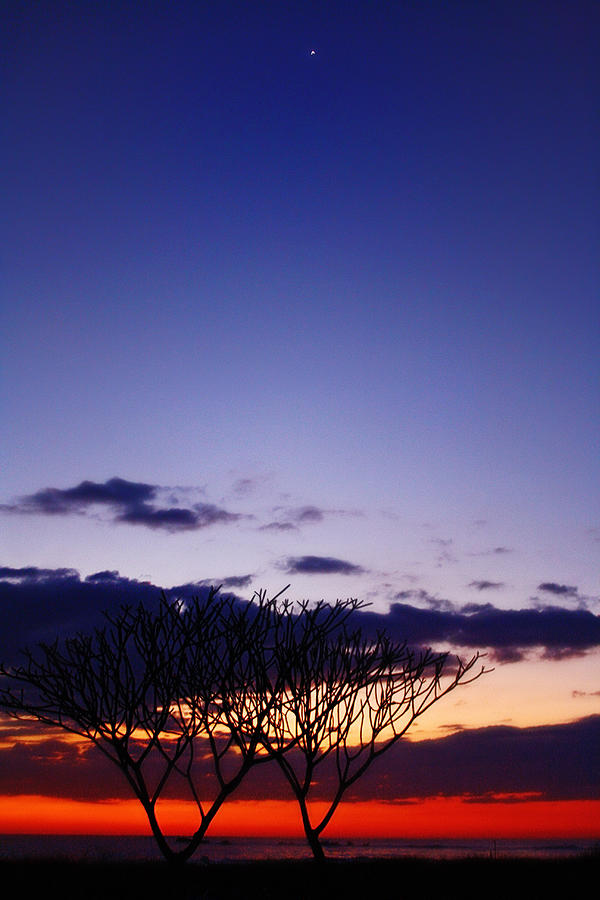 Sunset Photograph - Costa Rican Sunset by Justyn  Lamb