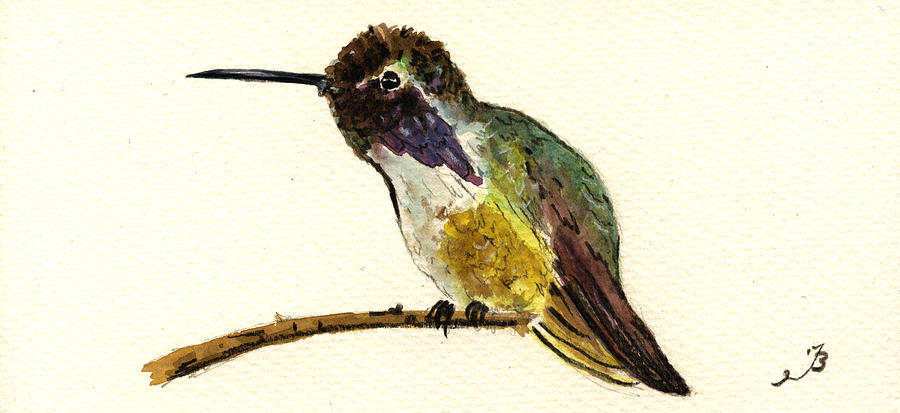 Hummingbird Painting - Costa s Hummingbird by Juan  Bosco