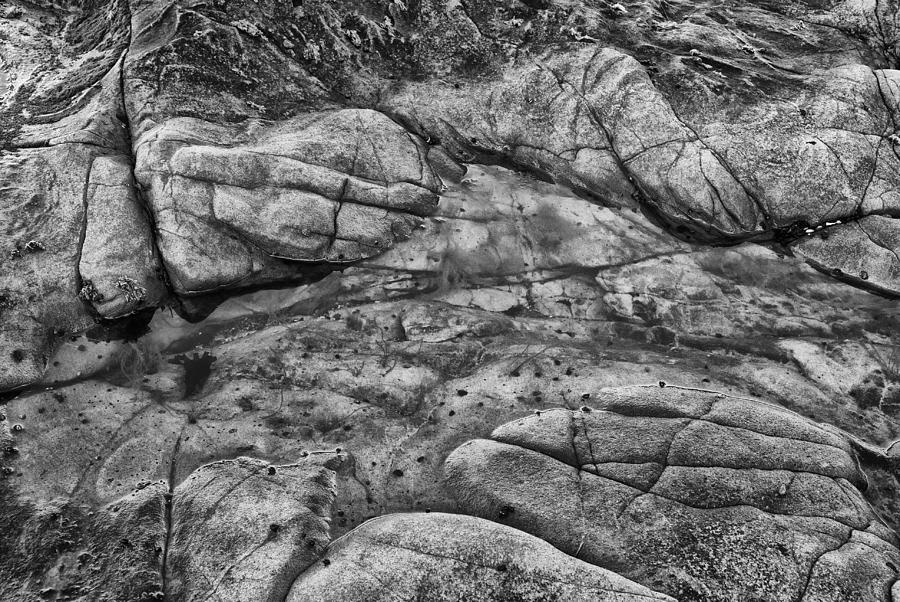 Costal Rockscape Photograph by Sandra Selle Rodriguez