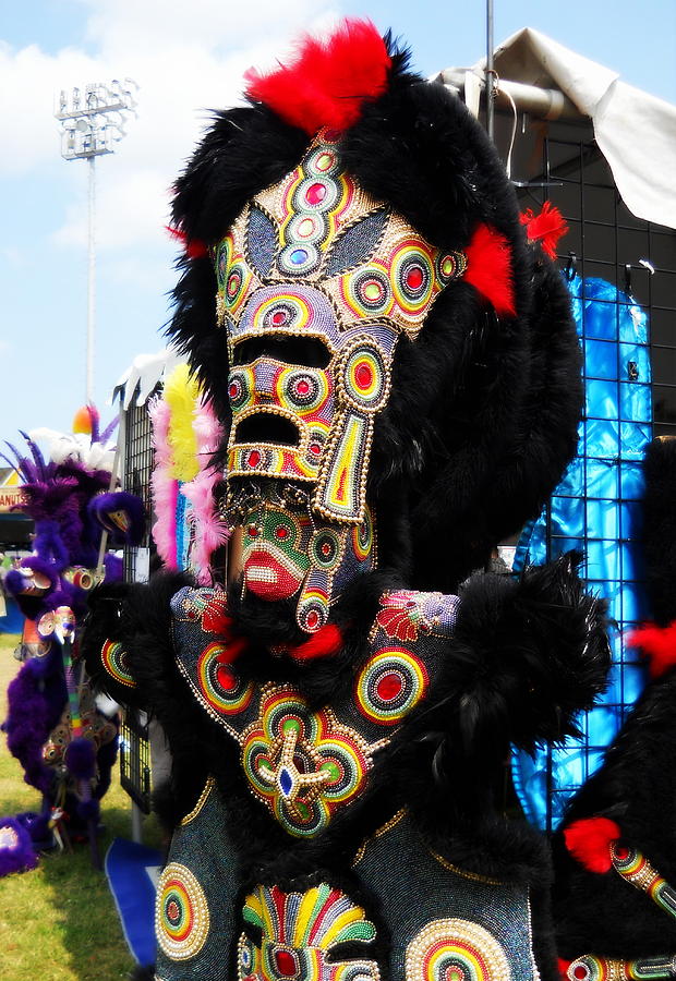 Costume - Mardi Gras Indians Photograph by Beth Vincent