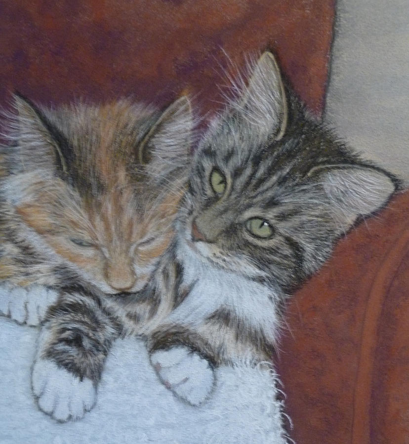 Cosy Cats Pastel by Barbara Bird - Fine Art America