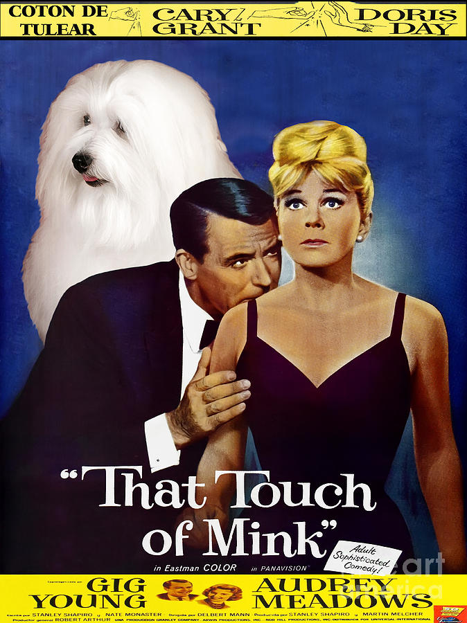 Coton de Tulear Art -That Touch of Mink Movie Poster Painting by Sandra Sij