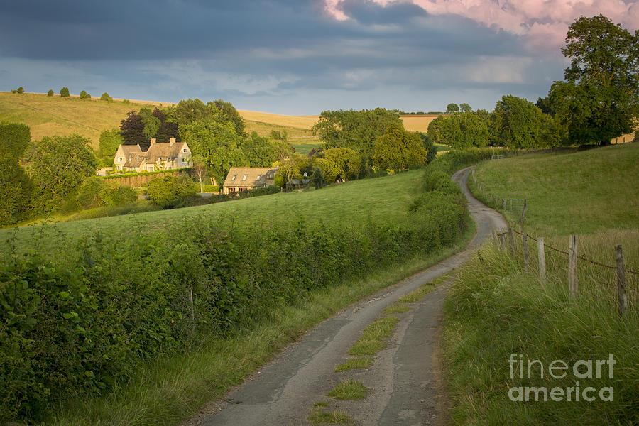 Cotswold Lane Photograph by Brian Jannsen