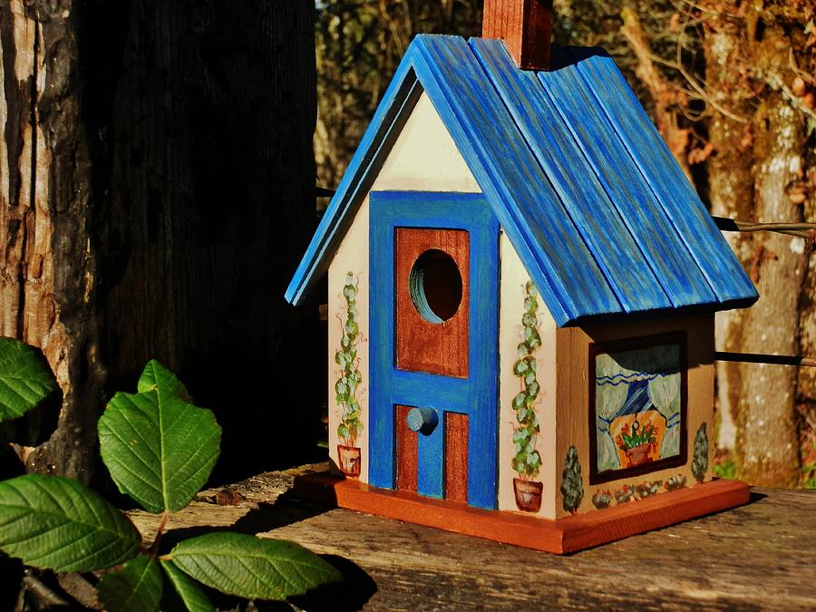 Cottage Birdhouse Painting by VLee Watson