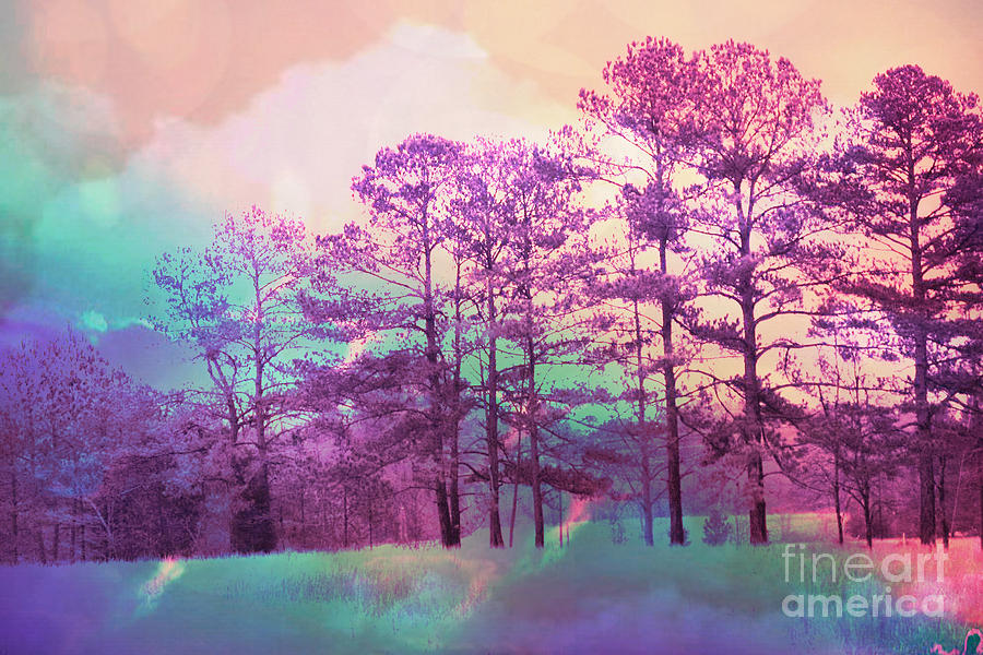 Cottage Chic Dreamy Surreal Pink Abstract Nature ...