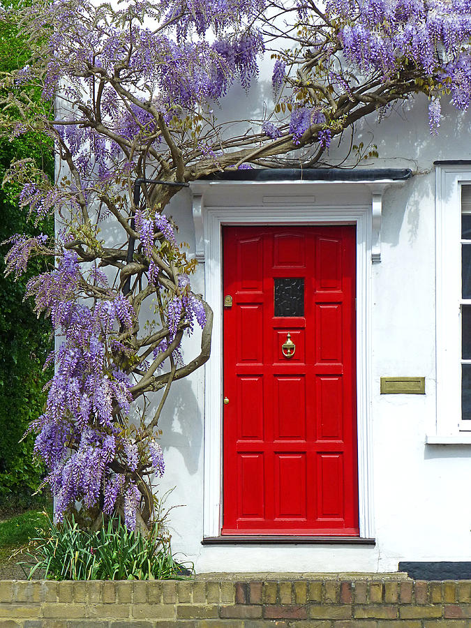 Flower Photograph - Cottage Door with Wisteria by Gill Billington