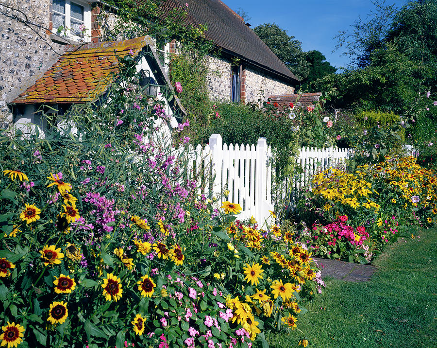 Cottage Garden Photograph by Andy Williams/science Photo Library