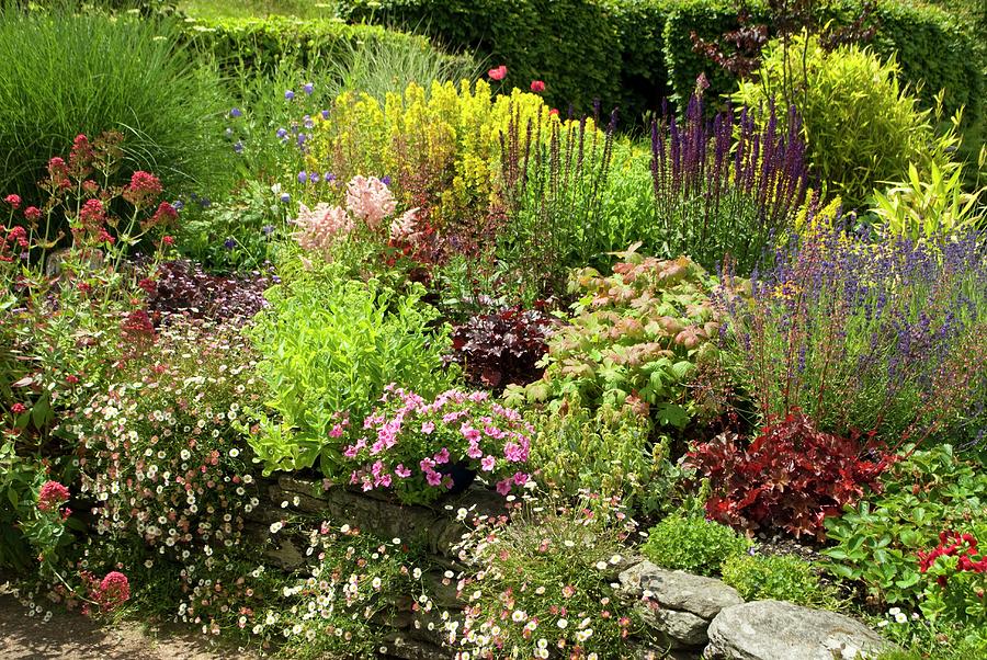 Cottage Garden Photograph by David Aubrey - Fine Art America