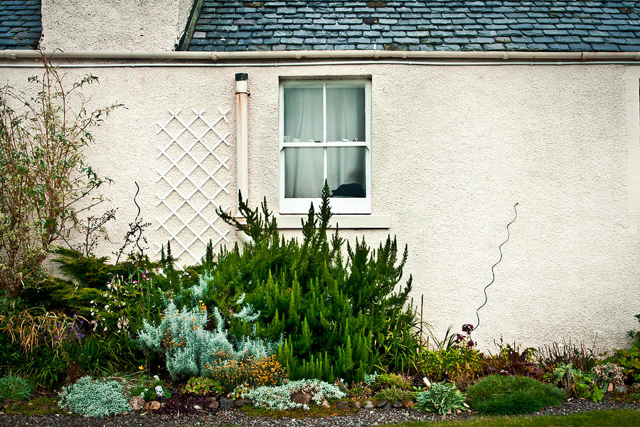 Architecture Photograph - Cottage garden by Tom Gowanlock