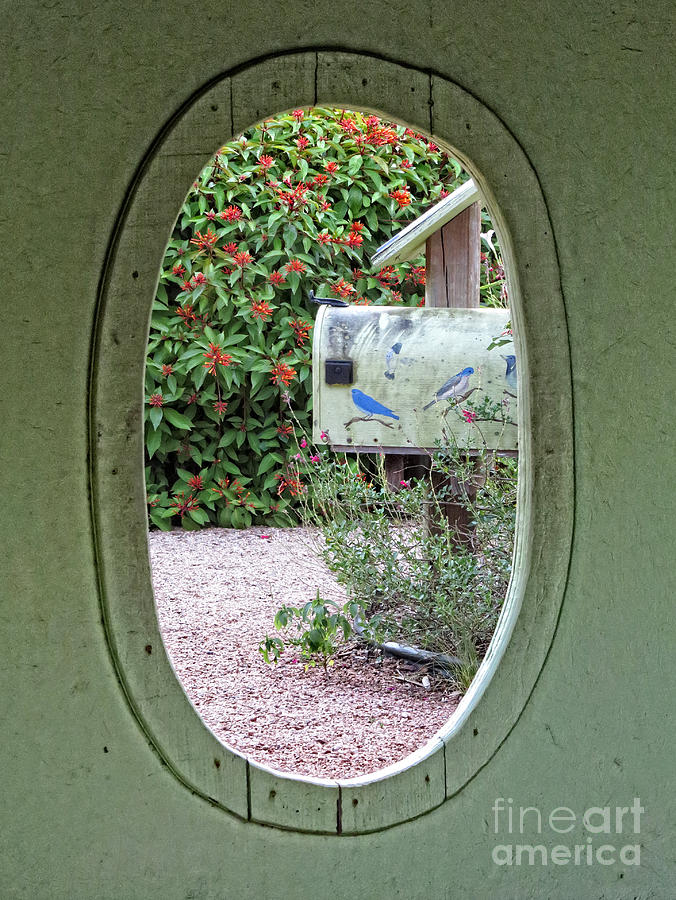 Cottage Garden Window Photograph by Ella Kaye Dickey