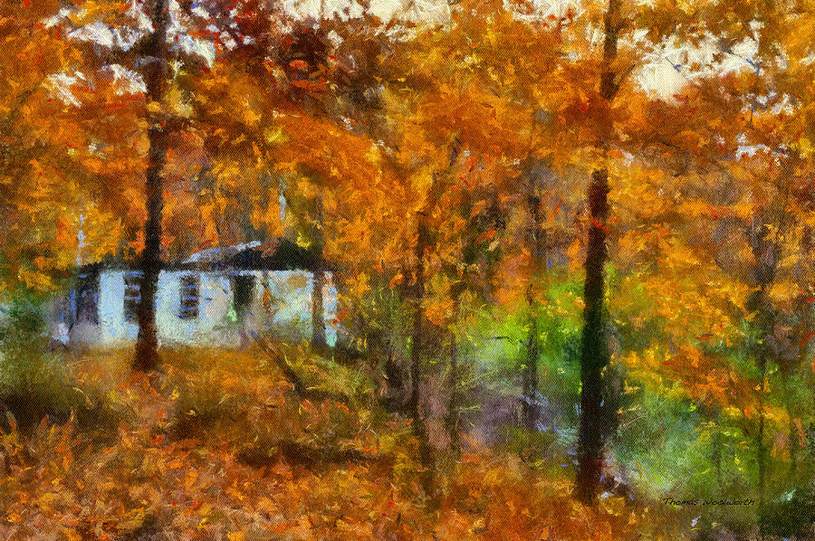 Cottage In The Autumn Woods 02 Photograph by Thomas Woolworth