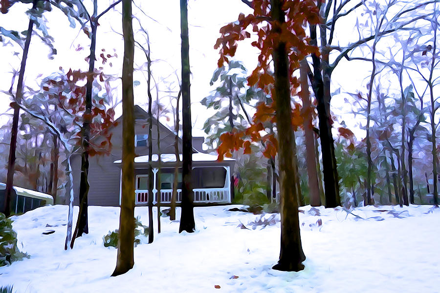 Winter Photograph - Cottage in the Woods by Norma Brock