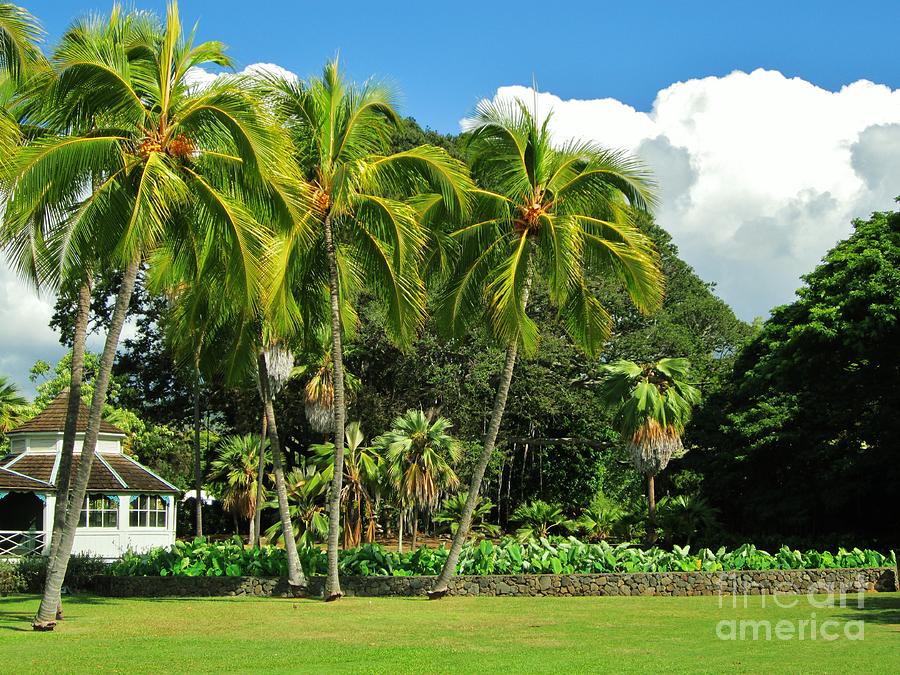 Cottage of Kamehameha V Photograph by Craig Wood