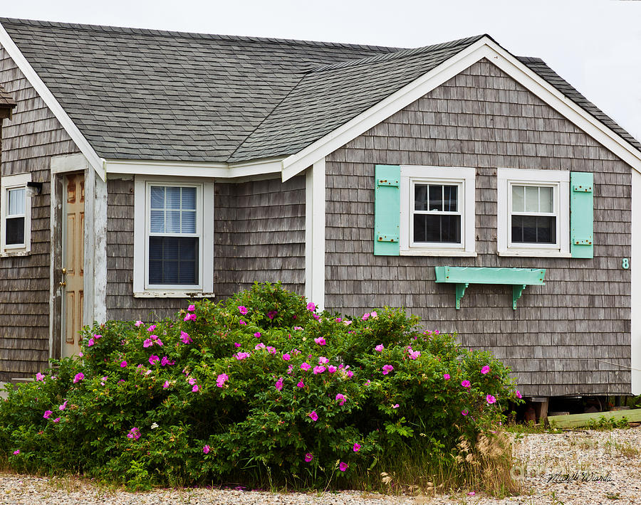 Summer Photograph - Cottage on the Cape by Michelle Constantine