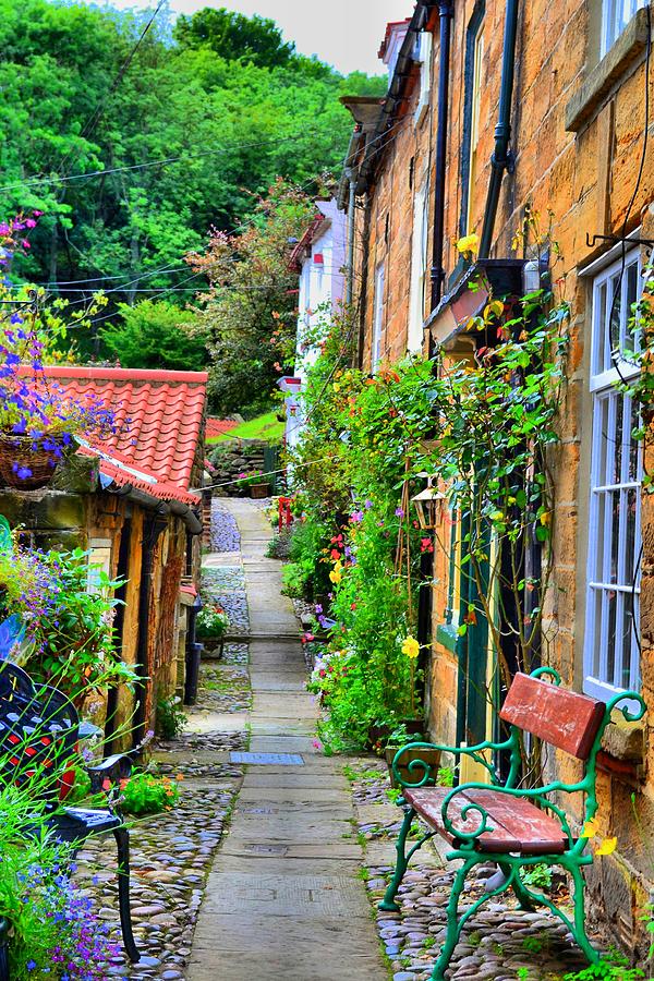 Nature Photograph - Cottage Row by Dave Woodbridge