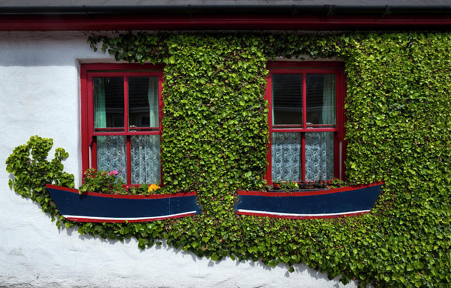 Cork Photograph - Cottage Windows, Kinsale,county Cork by Panoramic Images