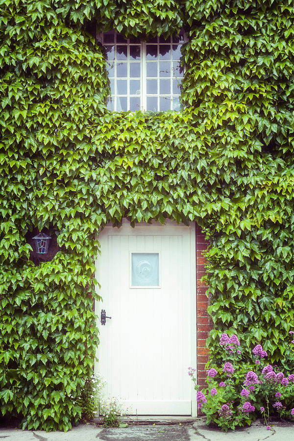 Cottage Photograph - Cottage With Ivy by Joana Kruse