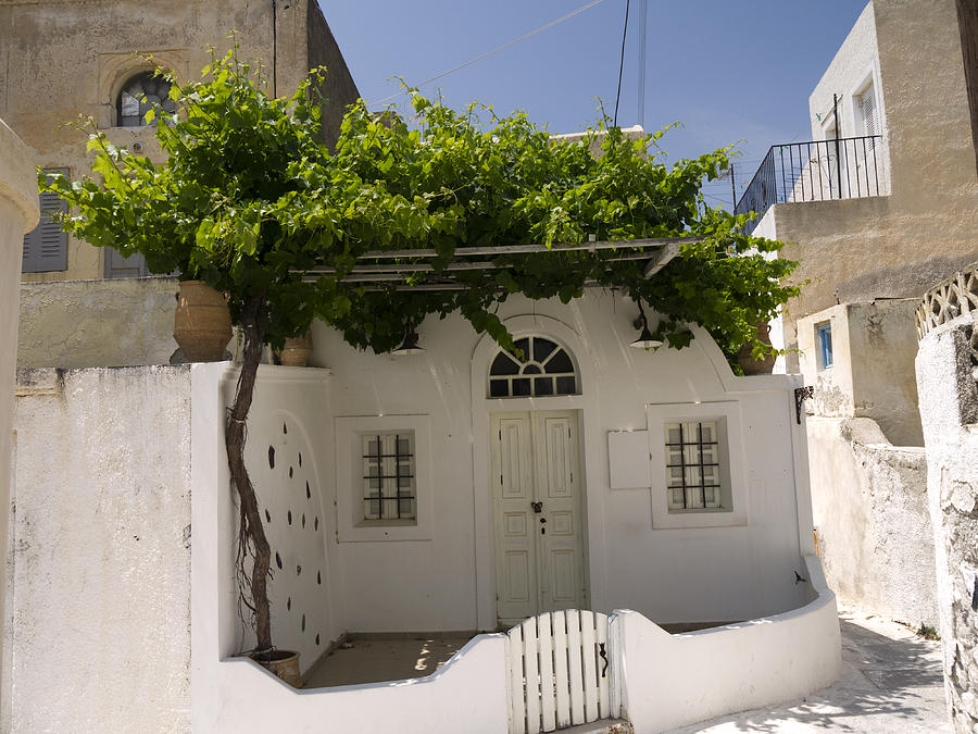 Cottage with Vine Santorini Photograph by Brenda Kean