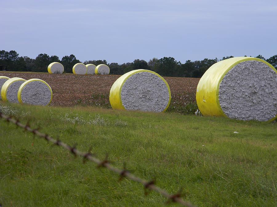 Cotton Ball Landscape Photograph by Warren Thompson