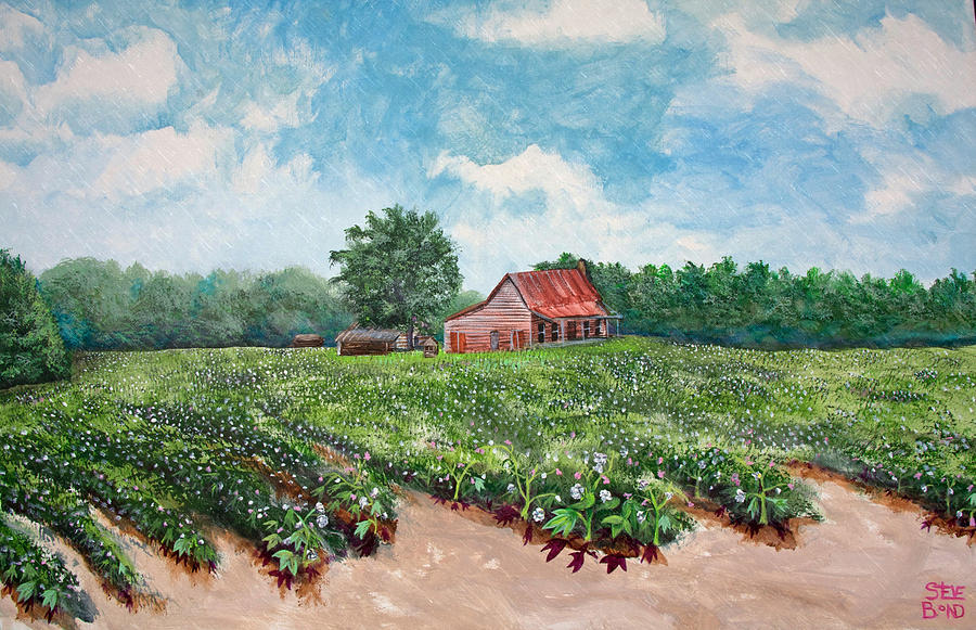 Cotton Be Here Painting by Virginia Bond