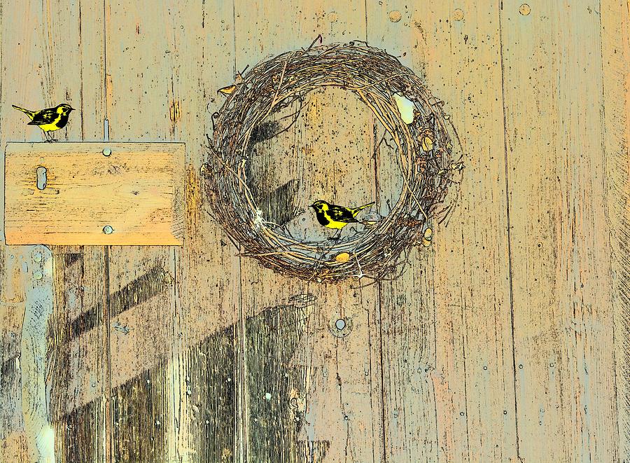 Cotton Boll Wreath and Goldfinches Photograph by Kathy Barney